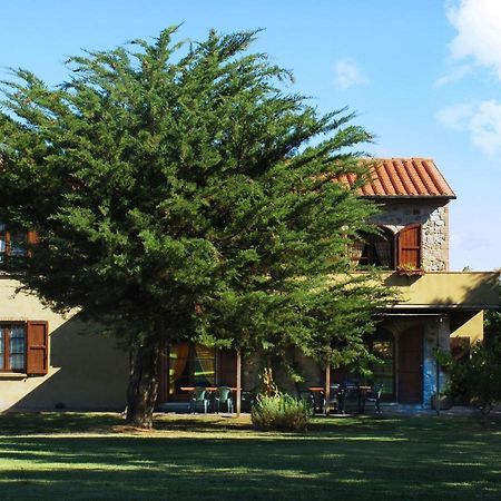 Appartamento Uva - Agriturismo Le Selvole Pomarance Kültér fotó